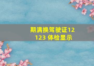 期满换驾驶证12123 体检显示